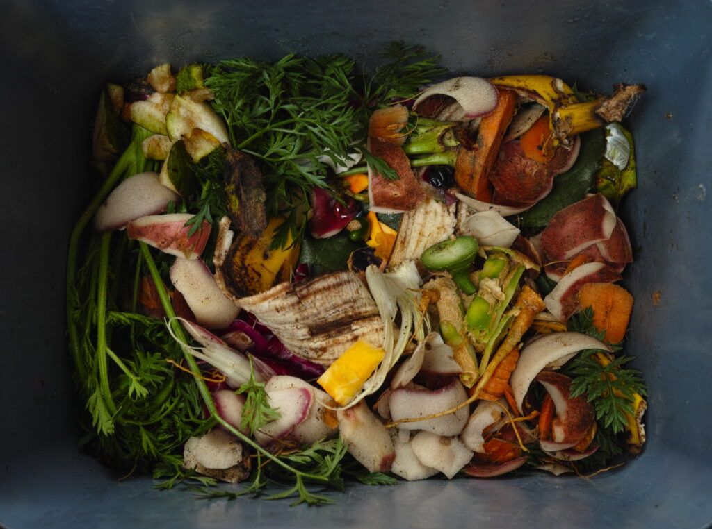 food waste in bin