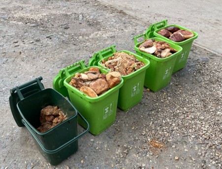 Brutons the Bakers food waste