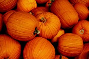 Pumpkin Waste News